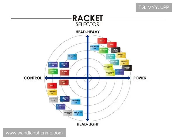 上海羽毛球队的秘密掌控与深度分析探讨