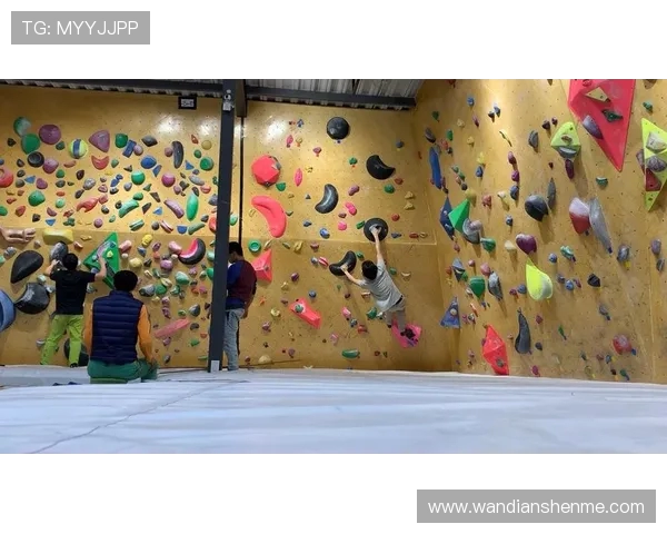 南京攀岩队灵活性引发热议运动员表现与训练方式的深度探讨