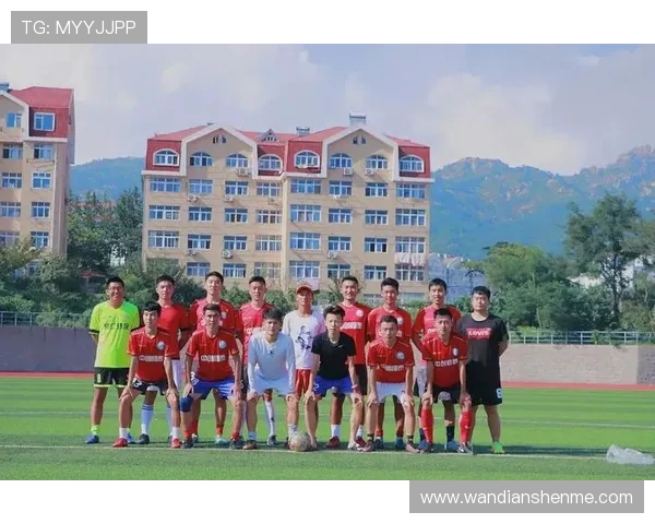 武汉足球队团队协作的成功经验与挑战分析探讨